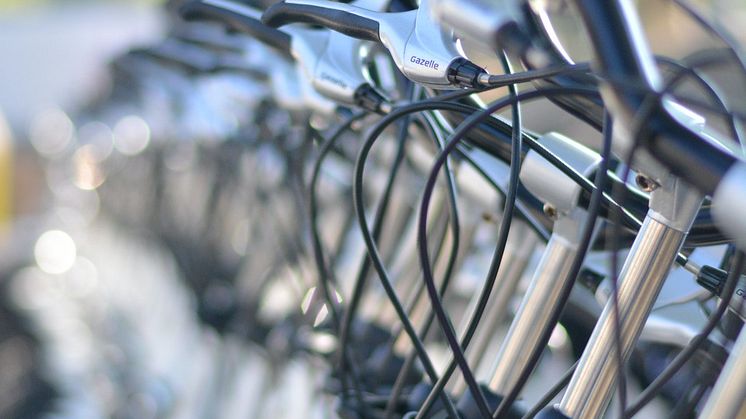Hvilken cykel skal jeg vælge?