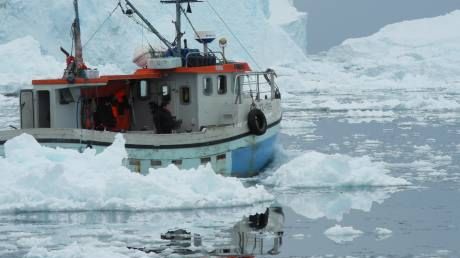 2013 års fiskekvoter för Västerhavet klara