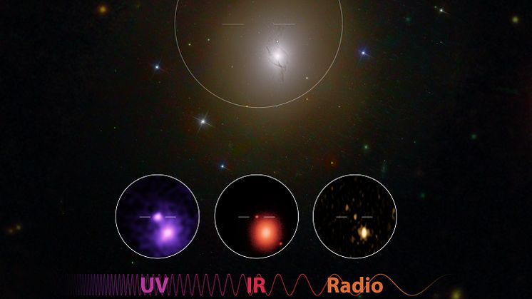 Den elektromagnetiska strålningen från kollisionen syns här som ultraviolett och infrarött ljus och som radiostrålning. Foto: Robert Hurt (Caltech/IPAC), Mansi Kasliwal (Caltech), Gregg Hallinan (Caltech), Phil Evans (NASA), GROWTH collaboration.