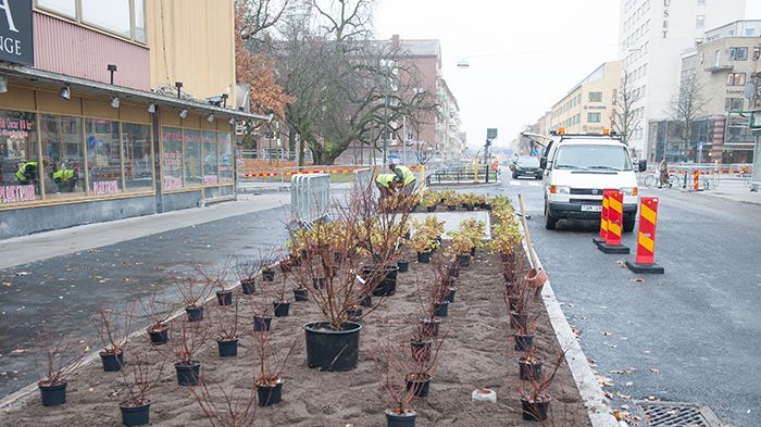 Trädgårdsgatan öppnas för trafik 18/11