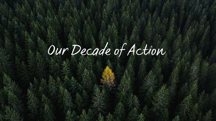 Our Decade of Action