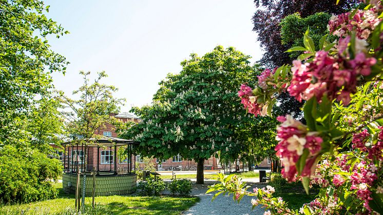 Den 17 juni invigs parken Trekanten i Dalby.