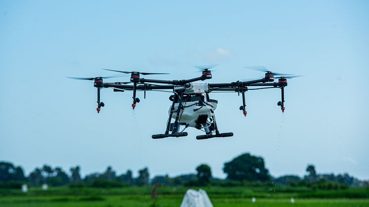 DJI Agras MG1-S Spray Drone flying over rice fields