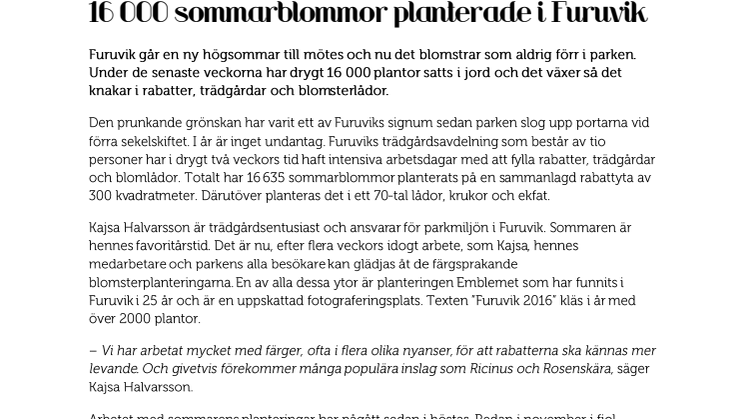 16 000 sommarblommor planterade i Furuvik