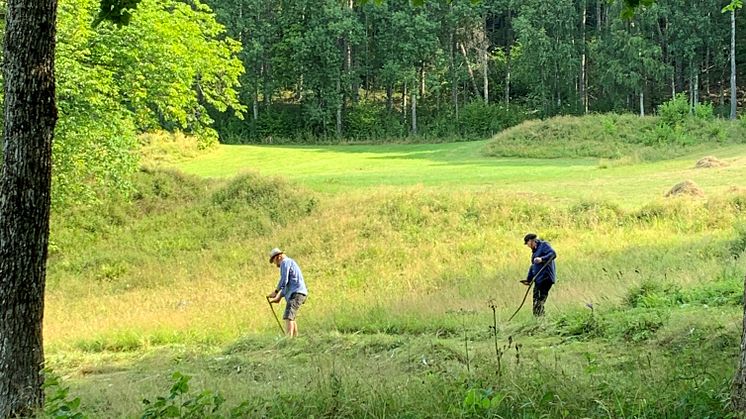 Vill du lära dig slå med Lie? Nu har du chansen. Foto: Stefan Husar