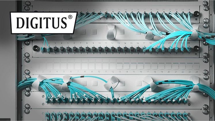 Product News: Future-oriented standards with DIGITUS®