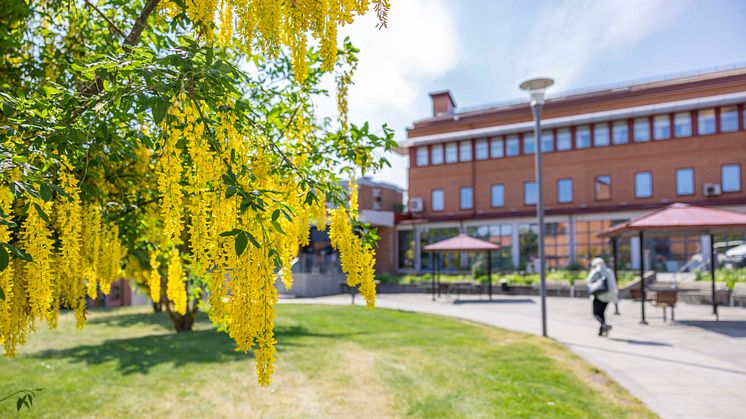 Representanter från lärosäten i Rumänien, Bulgarien, Tyskland och Frankrike kommer den 26 juni på besök till Högskolan. Besöket är en del av INGENIUM European University där Högskolan ingår.  