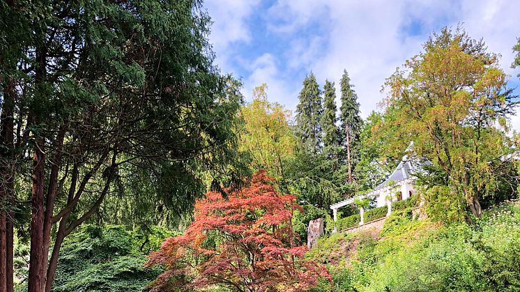 Den japanska trädgården, Norrvikens trädgårdar (ur inlaga)