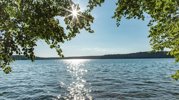 Glasklare Aussichten und auch pures Badevergnügen erwarten die Gäste beim Stand-Up- Paddling in Brandenburg wie hier am Stechlinsee. Foto: TMB-Fotoarchiv/Steffen Lehmann. 