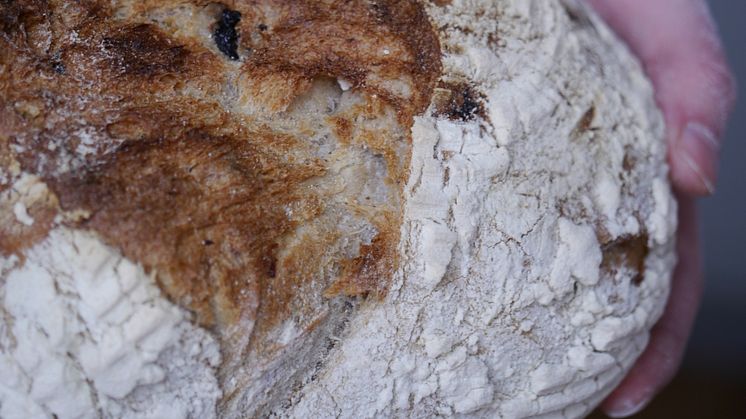 Bagare bullar upp för bakslag på Fredriksdal