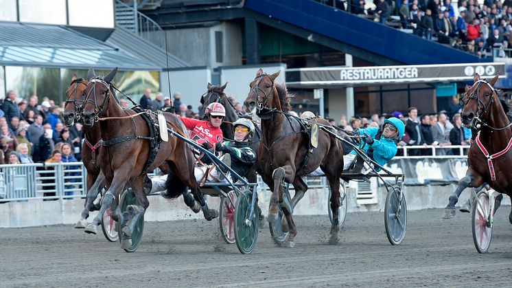 Inti Boko vann Svenskt Trav-Kriterium på Solvalla 2018. Foto: Lars Jakobsson/TR Bild