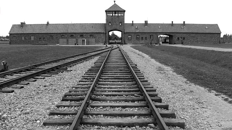 The Unseen Holocaust