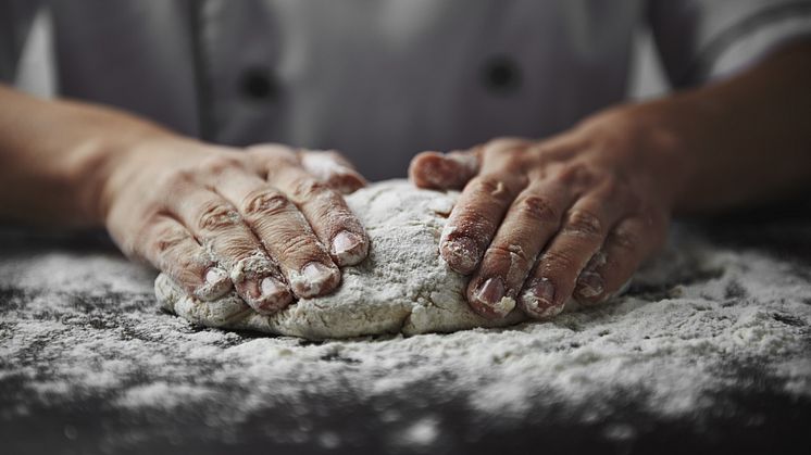 Danmarks Bedste fuldkornshvedebrød 2016