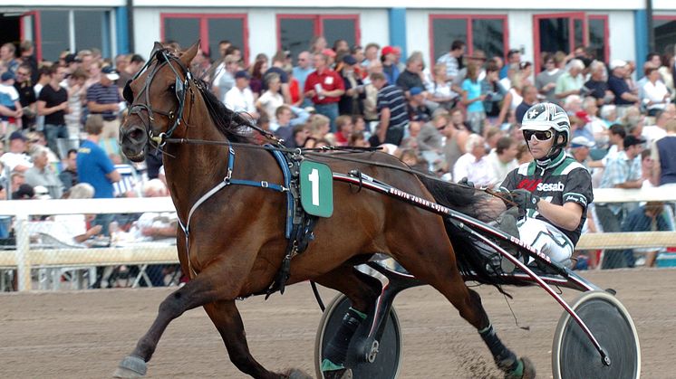 Så blir du V75-miljonär på Solvalla – Rekordvinnaren: "Våga chansa lite mer än vanligt"