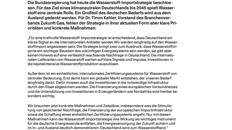 20240724_Pressestatement_Importstrategie.pdf