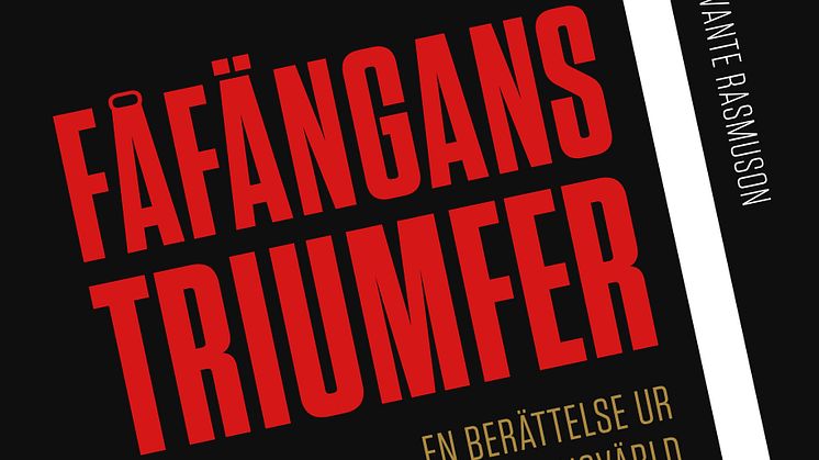 Omslag till boken Fåfängans triumfer av Svante Rasmuson