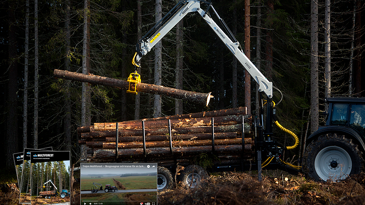 Nytt material för Trejon Multiforest