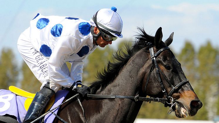 Nationaldagsgaloppen bjuder in Skandinaviens jockeyelit