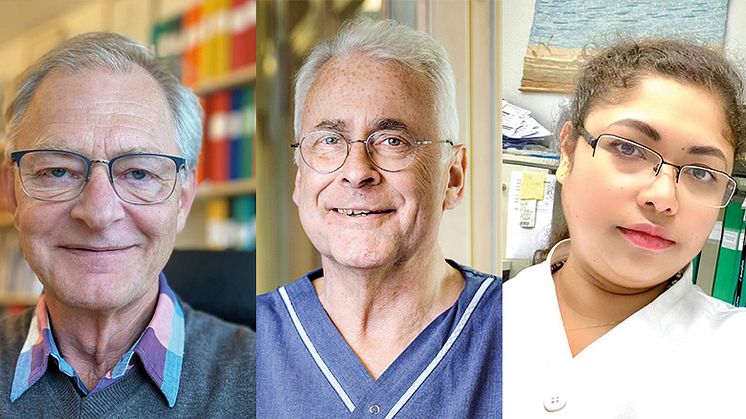 Mats Rudling, Bo Angelin och Moumita Ghosh Laskar