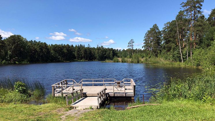 Avrådan och särskilda kostråd för fisk från Sandbäckstjärn​