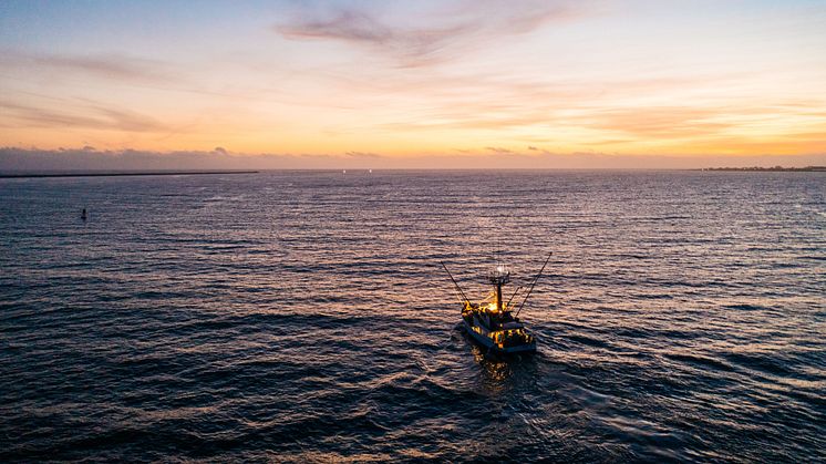RS17531_Albacore Tuna Fishing Boat at sunset (1)