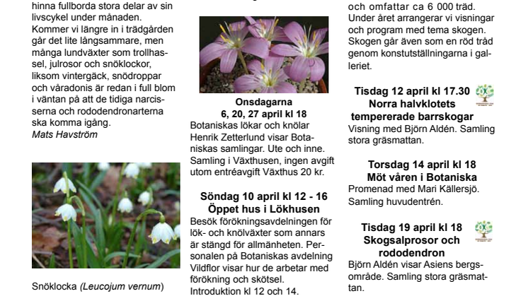 Botaniskas nyhetsbrev