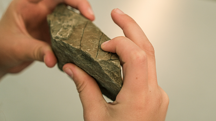 Aspiring geologist? A 5-year-old at Longyearbyen primary school checks out the 50 million year old fossils in a rock. Photo: Maria Philippa Rossi/UNIS.