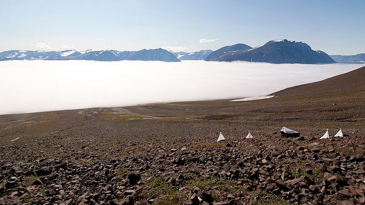 Forskarna har följt parasitoidernas och deras värdar i Zackenbergdalen i Nordöstra Grönland. För att fånga parasitoider använder de ofta av världens bästa insektsfällor, en tältliknande konstruktion uppfunnen av svensken René Malaise.