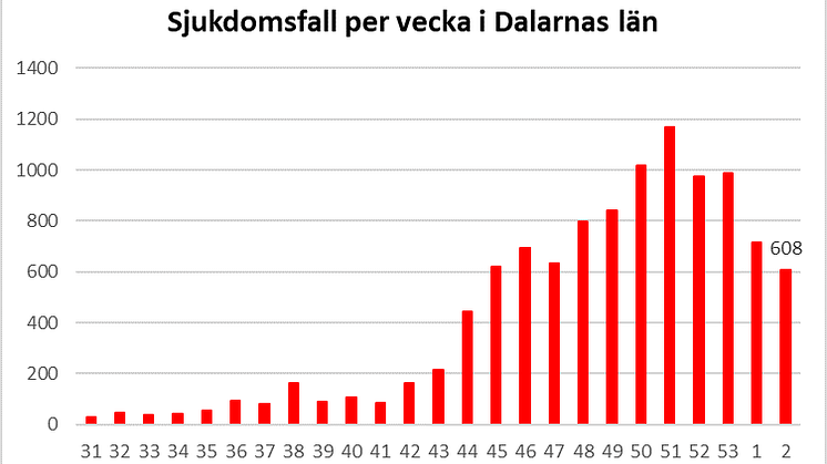 Länsstyrelsen informerar om läget i Dalarnas län 22 januari 2021