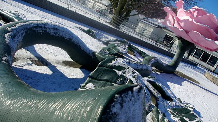 Ny verksamhetsledare i Malmö Folkets Park