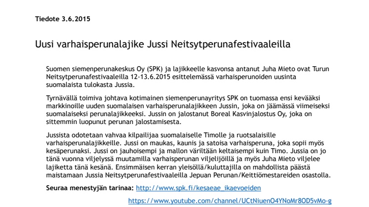 Uusi varhaisperunalajike Jussi Turun Neitsytperunafestivaaleilla
