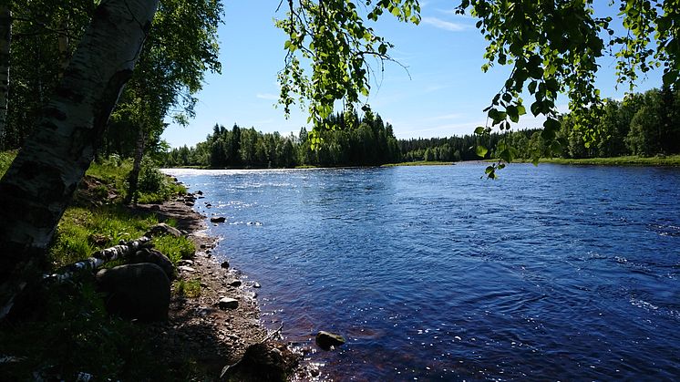 Foto: Maria Jons, Länsstyrelsen i Dalarnas län