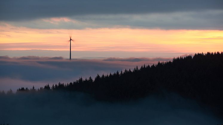 Europaforum Norra Sverige vill se förbättringar i EU:s direktiv om förnybar energi