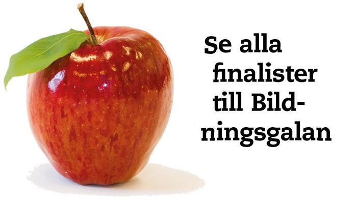 Finalisterna till Bildningsgalan klara