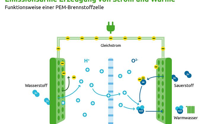 Funktionsweise der PEM-Brennstoffzelle