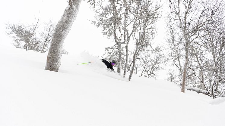 Nytagen bild från Trysil