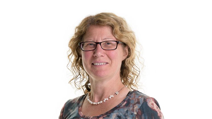 Karin Wiberg, professor vid SLU och biträdande koordinator för program Giftfri miljö inom SLU:s miljöanalys. Bild: SLU.