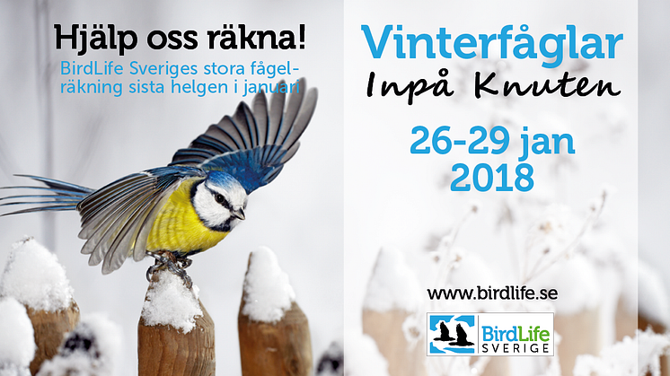 Var med och räkna vinterfåglarna den 26-29 januari 2018. 