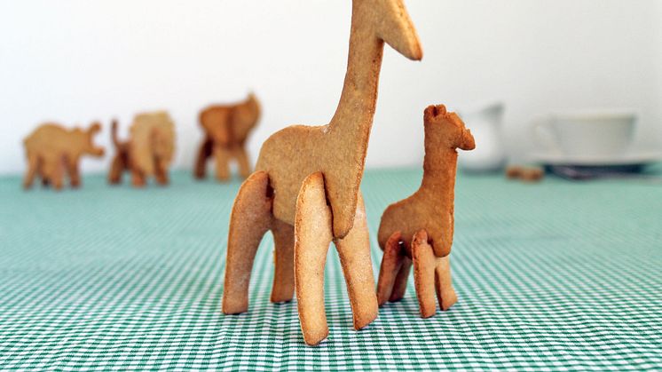 3D pepparkaksform - Giraffen