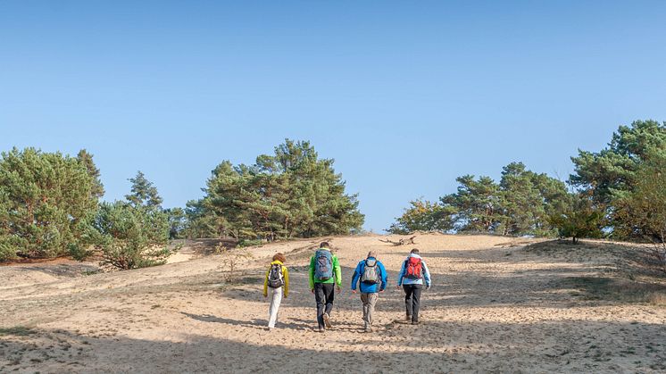 Wanderer auf der Binnendüne Storkow, die am 66-Seenwanderweg liegt (TMB-Fotoarchiv/Steffen Lehmann)