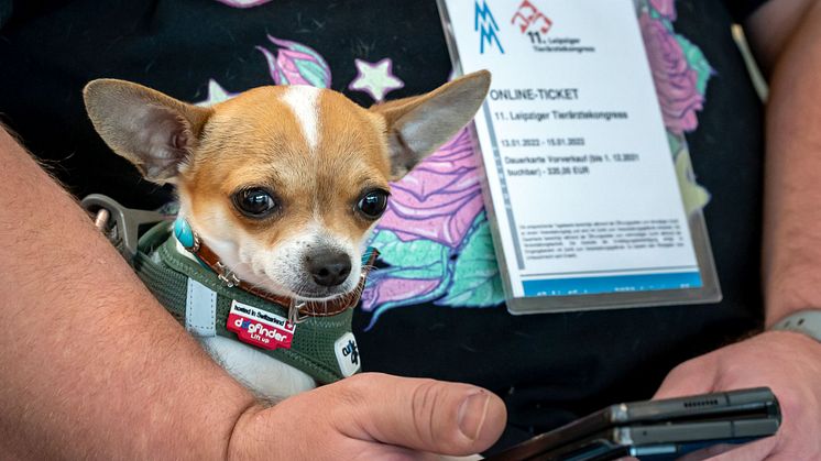 Der Leipziger Tierärztekongress ist die größte Fortbildungsveranstaltung für Tierärzte im deutschsprachigen Raum - Foto: Leipziger Messe/Tom Schulze