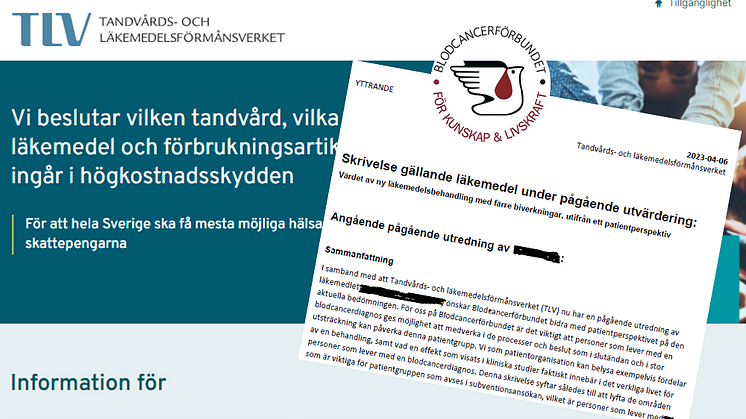 Blodcancerförbundet nyligen skickat in ett yttrande till läkemedelsmyndigheten TLV. Yttrandet gäller en pågående hälsoekonomisk utvärdering av ett nytt läkemedel inom blodcancerområdet.