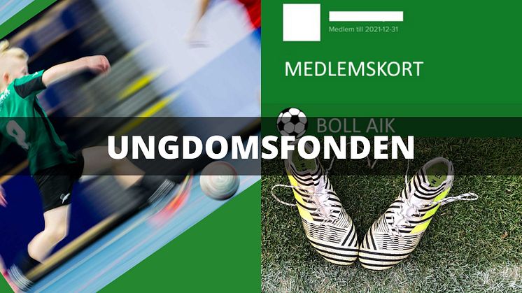 Ungdomsfonden