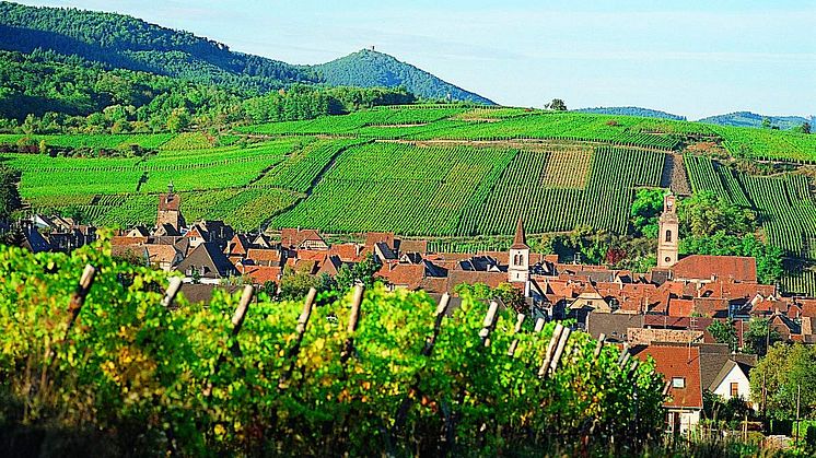 Hugel Alsace