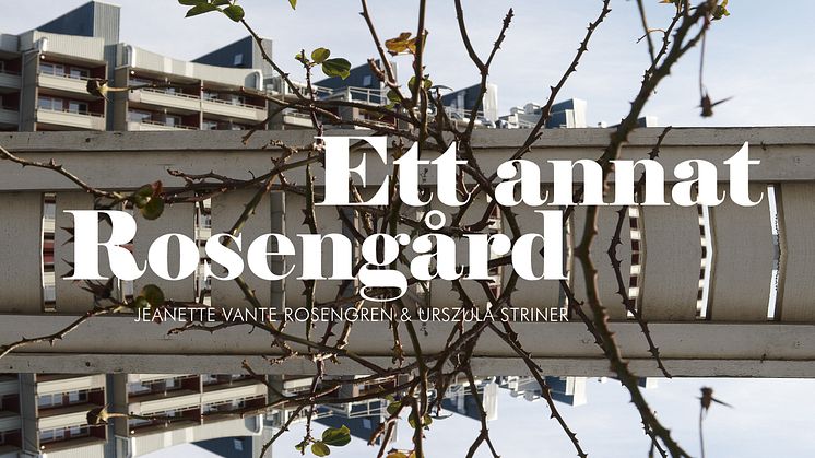 Ett annat Rosengård av Jeanette Rosengren och Urszula Striner