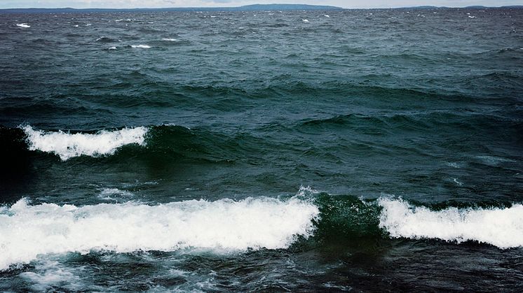 Havets experter bloggar om SVT-dokumentärer