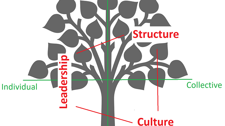 Ken Wilber's Tree metaphor model called AQAL (All Quadrants All Levels)