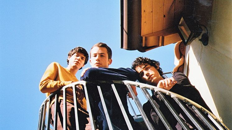 Wallows
