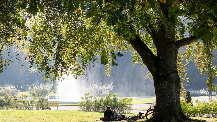 Kraftringen välkomnar att det nationella institutet för mänskliga rättigheter placeras i Lund