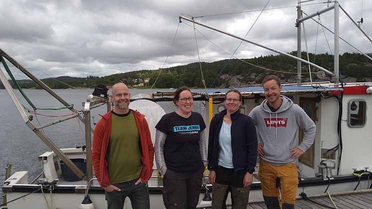 Joakim Ahlgren, Jenny Ask, Martina Jeuthe och Robin Bergman at Umeå Marine Sciences Centre at Umeå University are now licensed as scientific divers. Photo: Stilianos Matsoukatidis